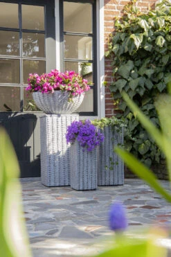 Plantenschaal Arkansas - D45 X H20cm - Lichtgrijs -Buitentuin Winkel arkansas bowl low washed grey d45h20 bloempot 7 9