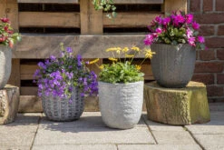 Bloempot Arkansas Egg Washed - D45 X H43cm - Lichtgrijs -Buitentuin Winkel arkansas egg pot washed grey d45h43 bloempot 7 9