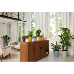 Bloempot Elho B.for Original Rond 25cm - Duifblauw -Buitentuin Winkel bfor original rond bloempot duifblauw 4 1