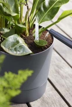 Bloempot Elho Greensense Aqua Care Rond - D35 X H34cm - Houtskoolgrijs 13 Bloempot Elho Greensense Aqua Care Rond - D35 X H34cm - Houtskoolgrijs -Buitentuin Winkel bloempot elho greensense aqua care rond d35 x h34cm houtskoolgrijs bloempot 6 1