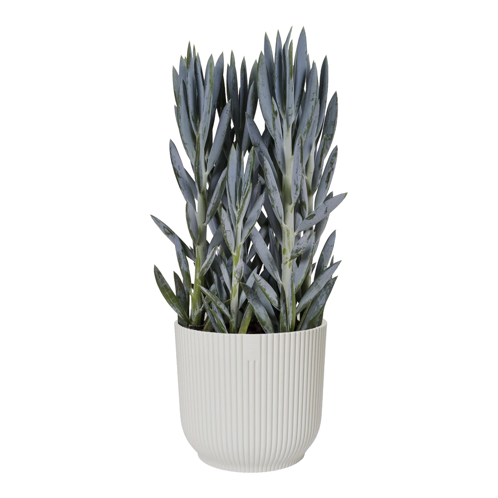 Bloempot Elho Vibes Fold Rond Wielen - D35 X H32cm - Zijdewit - Afbeelding 3