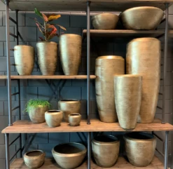 Plantenschaal Kos - D45 X H20cm - Goud -Buitentuin Winkel bloempot kos serie goud bloempot 3 1 1