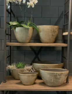 Bloempot Kos Ovaal - L33 X B14 X H27cm - Goud -Buitentuin Winkel bloempot kos serie ovaal goud bloempot 3 1 1