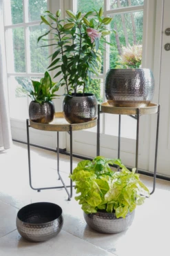 Plantenschaal Kody - D28 X H13cm - Lood -Buitentuin Winkel bowl kody lead d28 h13 plantenschaal lood 6 6