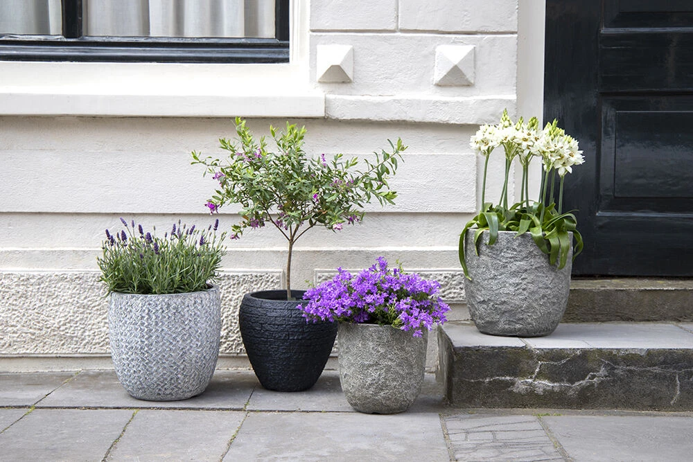 Bloempot Colorado Egg - D32 X H31cm - Grijs 5 Bloempot Colorado Egg - D32 X H31cm - Grijs - Afbeelding 3