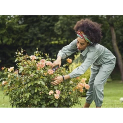 Comfort Snoeischaar - Gardena -Buitentuin Winkel comfort snoeischaar gardena 3 7