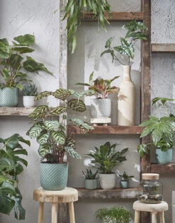 Bloempot Daan - D19 X H17.5cm - Wit -Buitentuin Winkel daan pot rond wit h17 5xd19cm bloempot 7 7