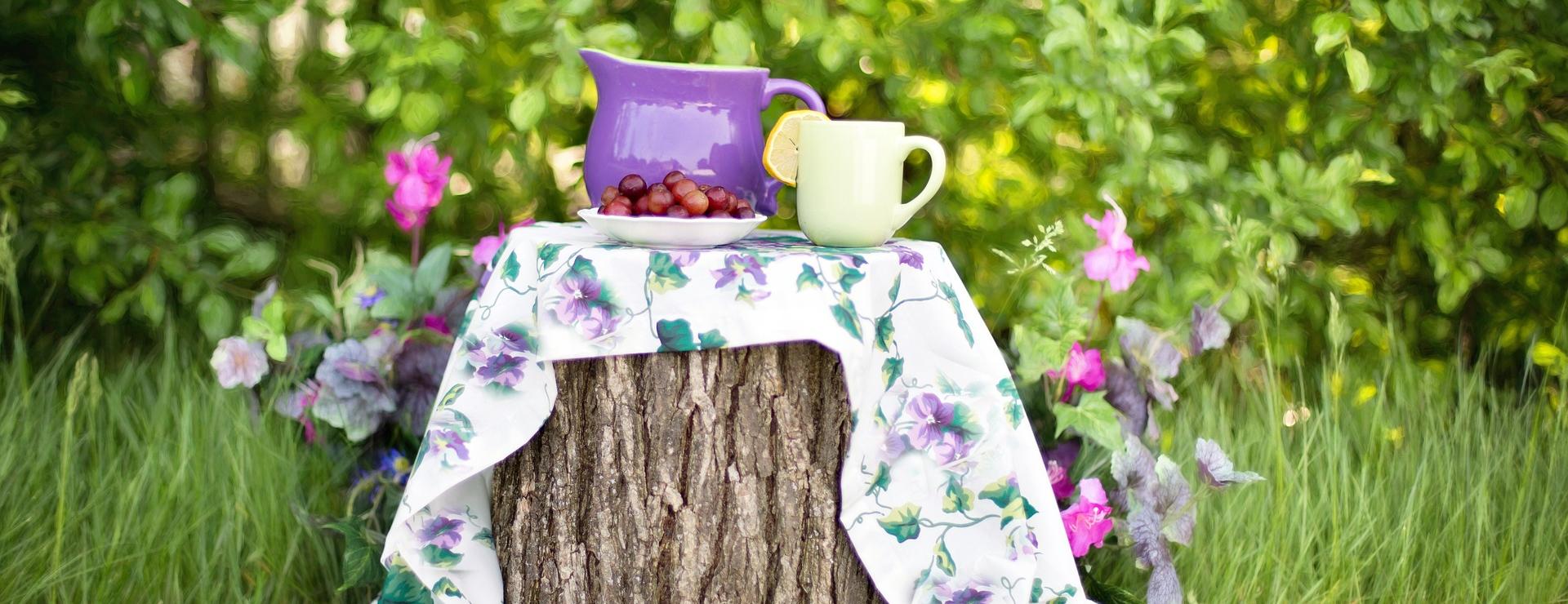 Buitentuin Winkel -Buitentuin Winkel garden 783344 1920