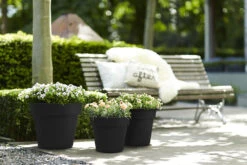 Bloempot Elho Green Basics Top Planter 40cm - Living Black 7 Bloempot Elho Green Basics Top Planter 40cm - Living Black -Buitentuin Winkel green basics top planter 40cm bloempot living black 7 13