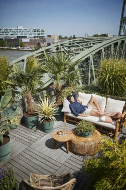 Elho Bloempot Greenville Rond 25cm - Bladgroen 5 Elho Bloempot Greenville Rond 25cm - Bladgroen -Buitentuin Winkel greenville rond 25cm bloempot bladgroen 6 13