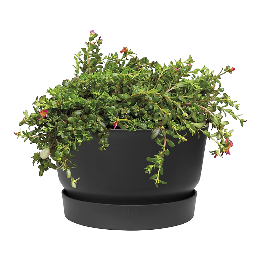 Plantenschaal Elho Greenville 33cm - Living Black 4 Plantenschaal Elho Greenville 33cm - Living Black - Afbeelding 2