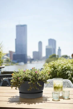 Plantenschaal Elho Greenville 33cm - Living Black 7 Plantenschaal Elho Greenville 33cm - Living Black -Buitentuin Winkel greenville schaal 33cm bloempot living black 6 13