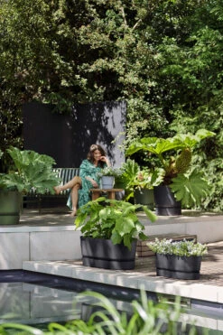 Bloembak Elho Greenville Terrace Long 70cm - Met Wielen - Living Black 9 Bloembak Elho Greenville Terrace Long 70cm - Met Wielen - Living Black -Buitentuin Winkel greenville trough long 70 plantenbak living black 6 13