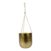 Hangpot Kody - D16 X H18cm - Goud -Buitentuin Winkel hanger kody gold d16 h18 hangpot 1 4