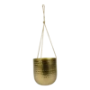 Hangpot Kody - D17 X H20cm - Goud -Buitentuin Winkel hanger kody gold d17 h20 hangpot 1 4