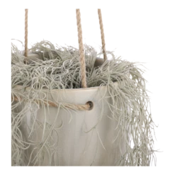 Hangpot Resa - D18,5 X H17cm - Lichtgrijs -Buitentuin Winkel hangpot resa d18 5 x h17cm lichtgrijs hangpot 3 1