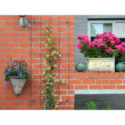 Nature - Metalen Klimrek Geplastificeerd Groen H145x72,5cm -Buitentuin Winkel nature metalen klimrek geplastificeerd groen h145x72 5cm 3 2