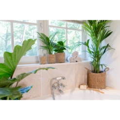 Plantenmand Joris - D38 X H33cm - Naturel -Buitentuin Winkel plantenmand joris naturel plantenmand 3