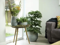 Bloempot Ryan - D26 X H26cm - Shiny Blue 6 Bloempot Ryan - D26 X H26cm - Shiny Blue -Buitentuin Winkel pot ryan shiny blue keramiek d26 h26 bloempot 7 10