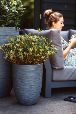 Capi Bloempot Nature Elegant Rib NL - D34 X H46cm - Donkergrijs 6 Capi Bloempot Nature Elegant Rib NL - D34 X H46cm - Donkergrijs -Buitentuin Winkel vaas elegant laag rib nl donkergrijs bloempot 2 4