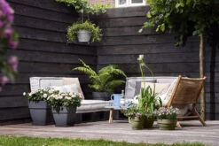 Bloempot Elho Vibia Campana Vierkant 37cm - Antraciet -Buitentuin Winkel vibia campana vierkant 37 plantenbak antraciet 6 11