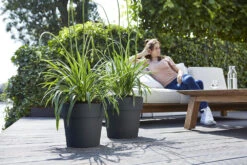 Bloempot Elho Vibia Straight Rond 47cm - Antraciet -Buitentuin Winkel vibia straight rond 47cm bloempot antraciet 7 11