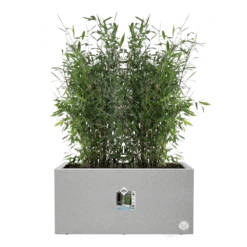 Elho Vivo Next Lang Wielen 80cm - Warm Grijs -Buitentuin Winkel vivo matt lang wielen 80cm warm grijs 5 1