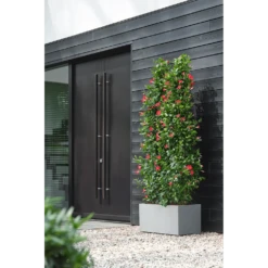 Elho Vivo Next Lang Wielen 80cm - Warm Grijs -Buitentuin Winkel vivo matt lang wielen 80cm warm grijs 6 1