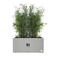 Elho Vivo Next Lang Wielen 60cm - Warm Grijs 13 Elho Vivo Next Lang Wielen 60cm - Warm Grijs -Buitentuin Winkel vivo next lang wielen 60cm warm grijs 5 1