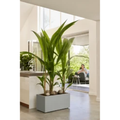 Elho Vivo Next Lang Wielen 60cm - Warm Grijs 15 Elho Vivo Next Lang Wielen 60cm - Warm Grijs -Buitentuin Winkel vivo next lang wielen 60cm warm grijs 7 1