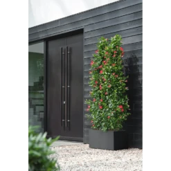 Elho Vivo Next Lang Wielen 80cm - Living Black -Buitentuin Winkel vivo next lang wielen 80cm living black 6 1