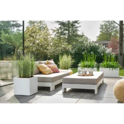 Elho Vivo Next Vierkant Wielen 40cm - Wit 15 Elho Vivo Next Vierkant Wielen 40cm - Wit -Buitentuin Winkel vivo next vierkant wielen 40cm wit 7 1